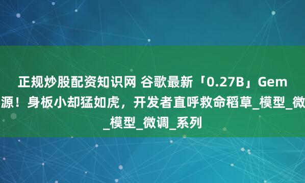 正规炒股配资知识网 谷歌最新「0.27B」Gemma 3开源！身板小却猛如虎，开发者直呼救命稻草_模型_微调_系列
