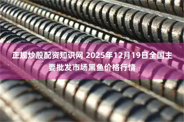 正规炒股配资知识网 2025年12月19日全国主要批发市场黑鱼价格行情
